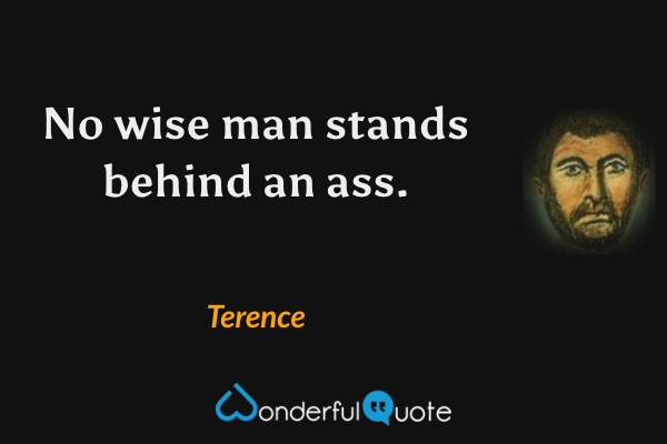 No wise man stands behind an ass. - Terence quote.