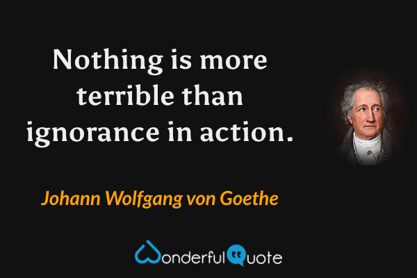 Nothing is more terrible than ignorance in action. - Johann Wolfgang von Goethe quote.