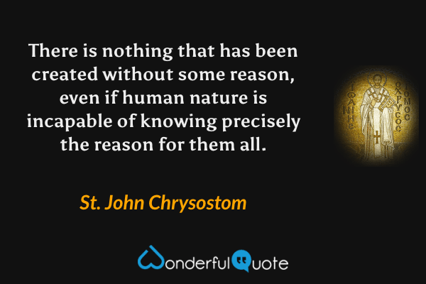 There is nothing that has been created without some reason, even if human nature is incapable of knowing precisely the reason for them all. - St. John Chrysostom quote.