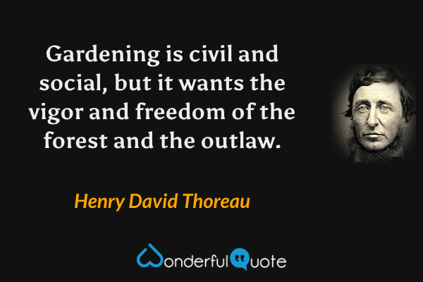 Gardening is civil and social, but it wants the vigor and freedom of the forest and the outlaw. - Henry David Thoreau quote.