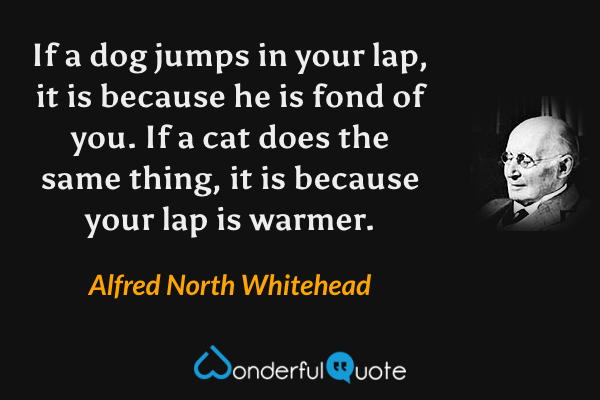 If a dog jumps in your lap, it is because he is fond of you.  If a cat does the same thing, it is because your lap is warmer. - Alfred North Whitehead quote.