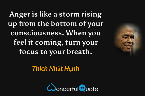 Anger is like a storm rising up from the bottom of your consciousness. When you feel it coming, turn your focus to your breath. - Thích Nhất Hạnh quote.