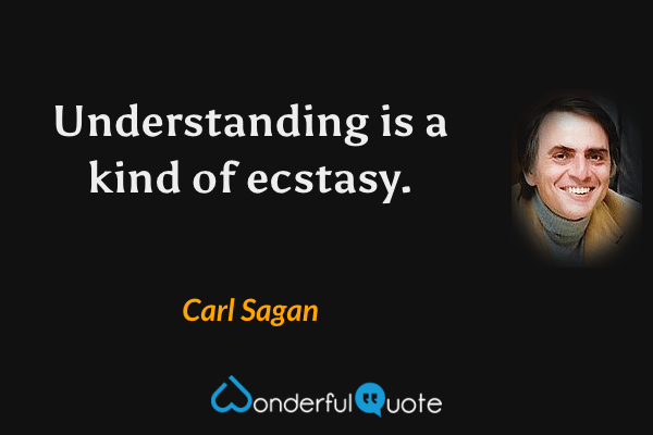 Understanding is a kind of ecstasy. - Carl Sagan quote.