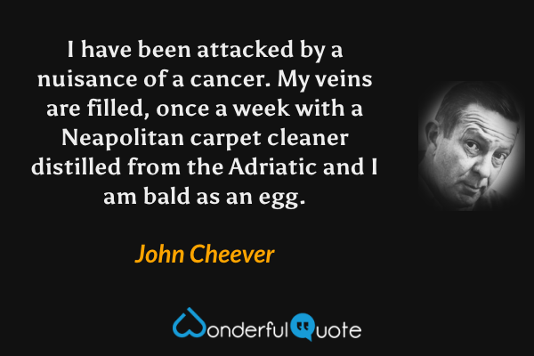 I have been attacked by a nuisance of a cancer.  My veins are filled, once a week with a Neapolitan carpet cleaner distilled from the Adriatic and I am bald as an egg. - John Cheever quote.