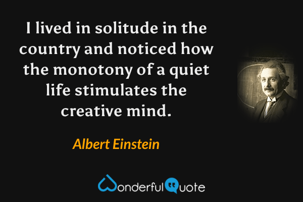 I lived in solitude in the country and noticed how the monotony of a quiet life stimulates the creative mind. - Albert Einstein quote.
