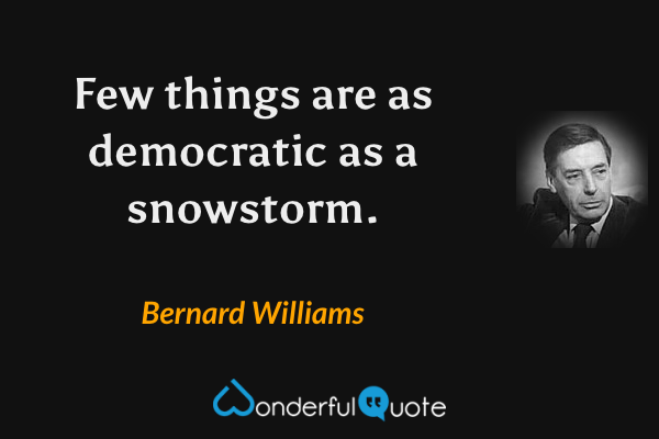 Few things are as democratic as a snowstorm. - Bernard Williams quote.