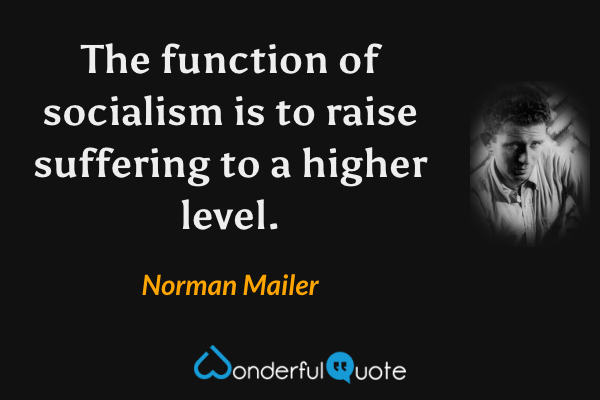 The function of socialism is to raise suffering to a higher level. - Norman Mailer quote.