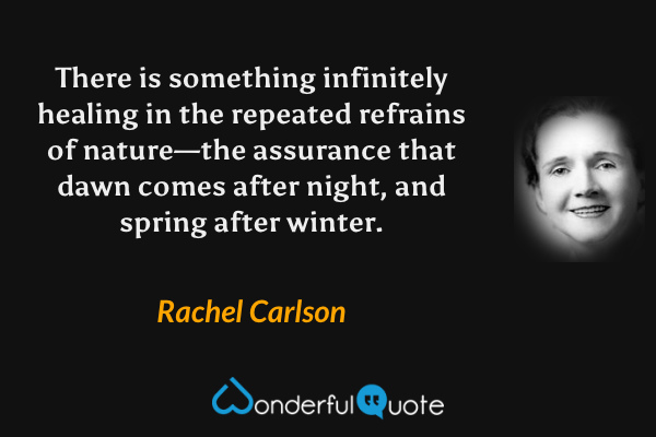 There is something infinitely healing in the repeated refrains of nature—the assurance that dawn comes after night, and spring after winter. - Rachel Carlson quote.