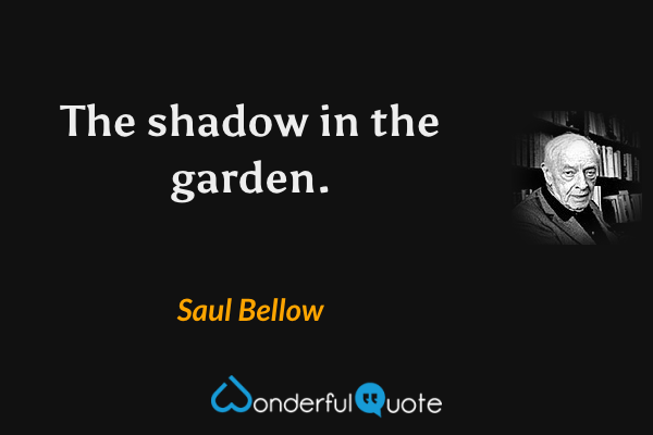 The shadow in the garden. - Saul Bellow quote.