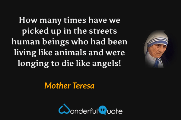 How many times have we picked up in the streets human beings who had been living like animals and were longing to die like angels! - Mother Teresa quote.