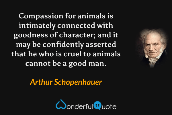 Compassion for animals is intimately connected with goodness of character; and it may be confidently asserted that he who is cruel to animals cannot be a good man. - Arthur Schopenhauer quote.