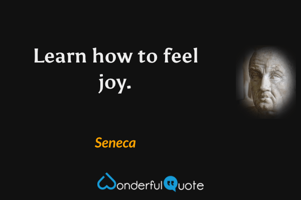 Learn how to feel joy. - Seneca quote.