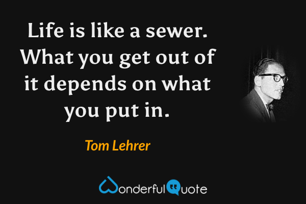 Life is like a sewer.  What you get out of it depends on what you put in. - Tom Lehrer quote.