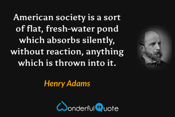American society is a sort of flat, fresh-water pond which absorbs silently, without reaction, anything which is thrown into it. - Henry Adams quote.