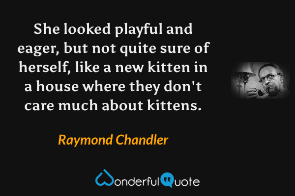 She looked playful and eager, but not quite sure of herself, like a new kitten in a house where they don't care much about kittens. - Raymond Chandler quote.