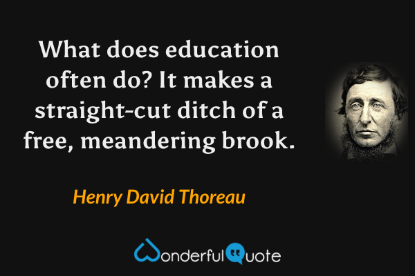 What does education often do? It makes a straight-cut ditch of a free, meandering brook. - Henry David Thoreau quote.