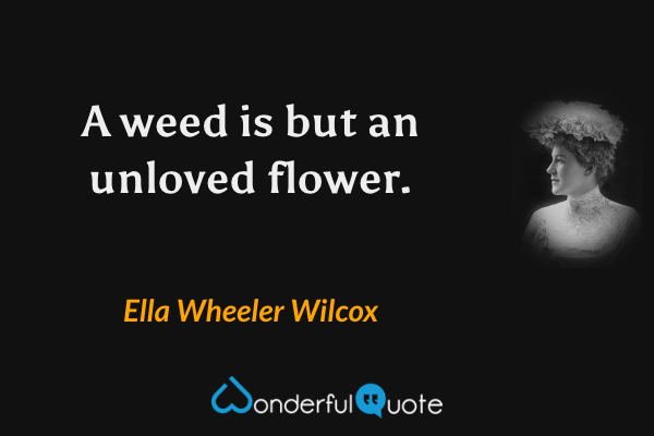 A weed is but an unloved flower. - Ella Wheeler Wilcox quote.