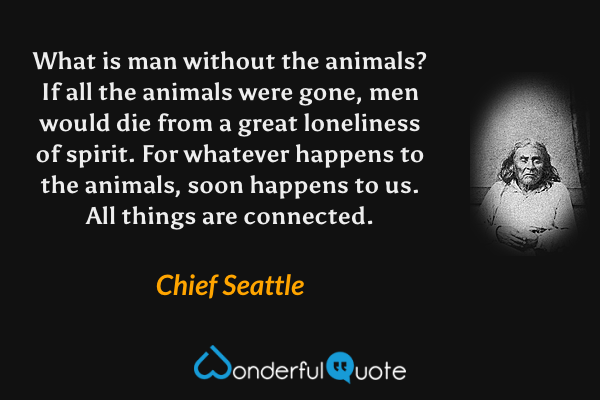 What is man without the animals? If all the animals were gone, men would die from a great loneliness of spirit. For whatever happens to the animals, soon happens to us. All things are connected. - Chief Seattle quote.