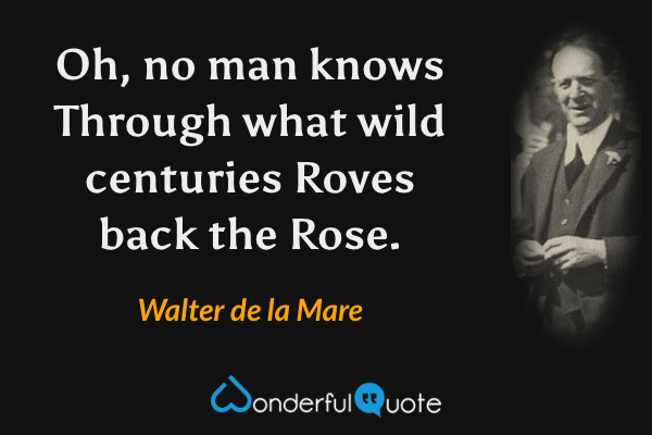 Oh, no man knows
Through what wild centuries
Roves back the Rose. - Walter de la Mare quote.