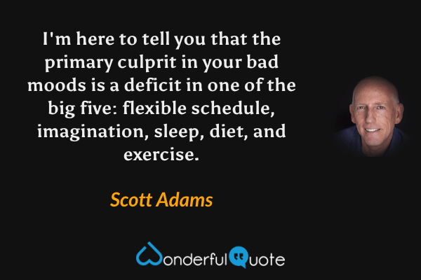 I'm here to tell you that the primary culprit in your bad moods is a deficit in one of the big five: flexible schedule, imagination, sleep, diet, and exercise. - Scott Adams quote.