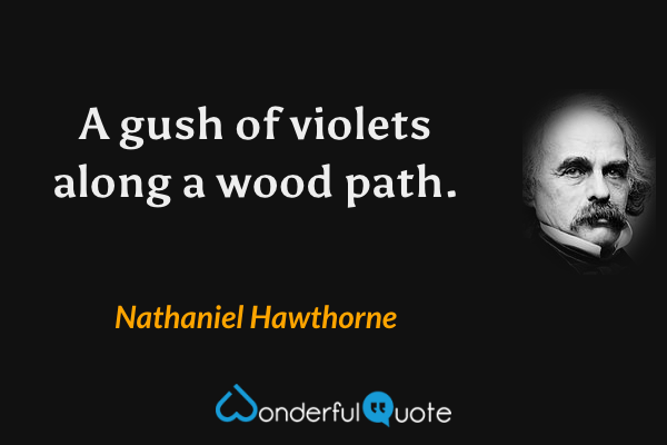 A gush of violets along a wood path. - Nathaniel Hawthorne quote.