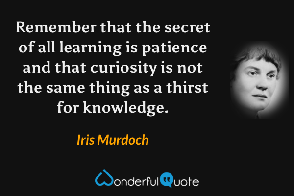 Remember that the secret of all learning is patience and that curiosity is not the same thing as a thirst for knowledge. - Iris Murdoch quote.