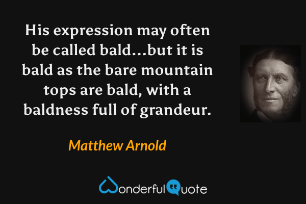 His expression may often be called bald...but it is bald as the bare mountain tops are bald, with a baldness full of grandeur. - Matthew Arnold quote.