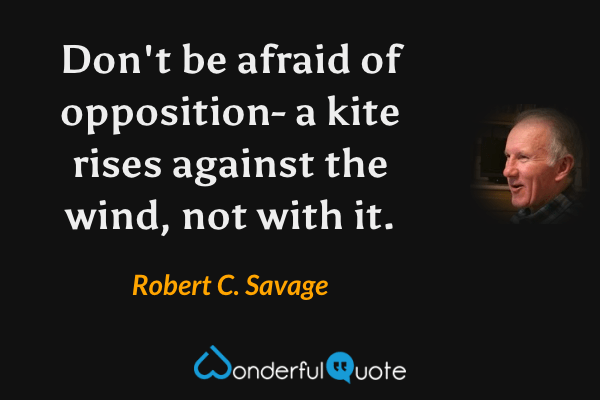 Don't be afraid of opposition- a kite rises against the wind, not with it. - Robert C. Savage quote.