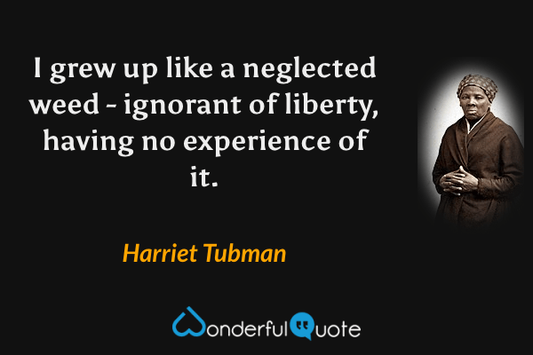 I grew up like a neglected weed - ignorant of liberty, having no experience of it. - Harriet Tubman quote.