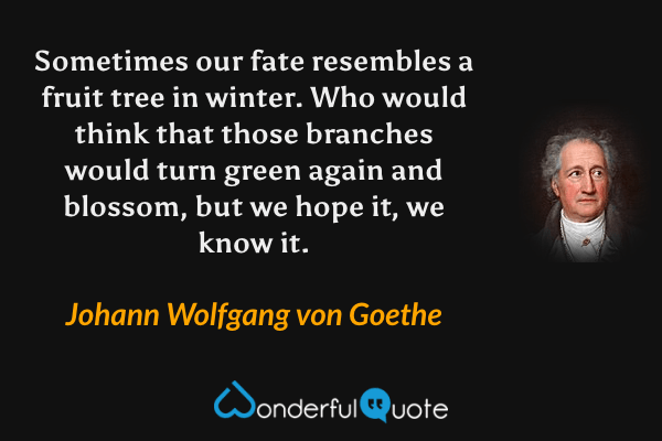 Sometimes our fate resembles a fruit tree in winter. Who would think that those branches would turn green again and blossom, but we hope it, we know it. - Johann Wolfgang von Goethe quote.