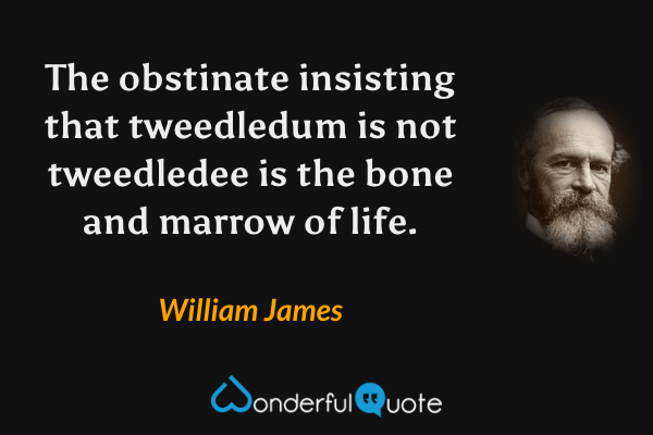 The obstinate insisting that tweedledum is not tweedledee is the bone and marrow of life. - William James quote.