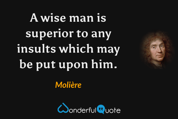 A wise man is superior to any insults which may be put upon him. - Molière quote.