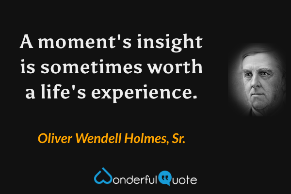 A moment's insight is sometimes worth a life's experience. - Oliver Wendell Holmes, Sr. quote.