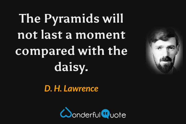 The Pyramids will not last a moment compared with the daisy. - D. H. Lawrence quote.