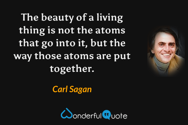 The beauty of a living thing is not the atoms that go into it, but the way those atoms are put together. - Carl Sagan quote.