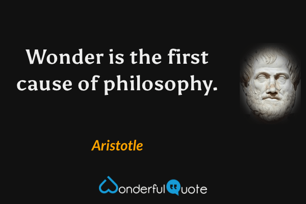 Wonder is the first cause of philosophy. - Aristotle quote.