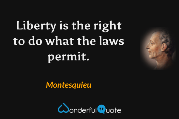 Liberty is the right to do what the laws permit. - Montesquieu quote.