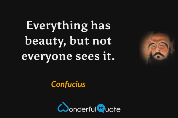 Everything has beauty, but not everyone sees it. - Confucius quote.