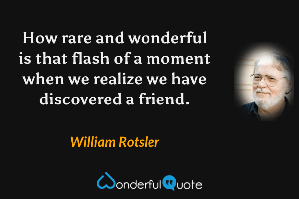 How rare and wonderful is that flash of a moment when we realize we have discovered a friend. - William Rotsler quote.