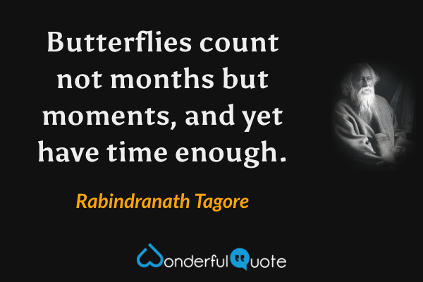 Butterflies count not months but moments, and yet have time enough. - Rabindranath Tagore quote.