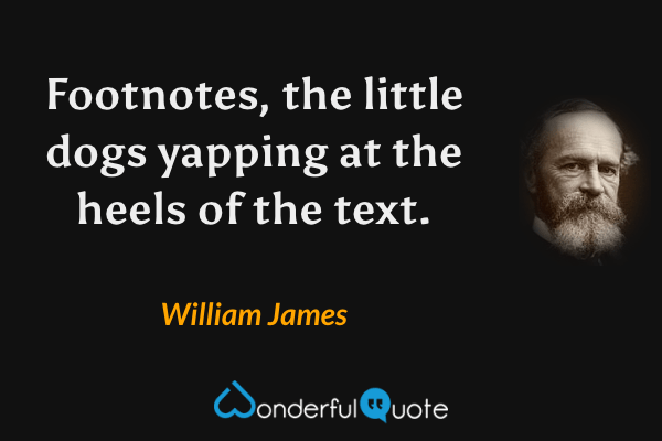 Footnotes, the little dogs yapping at the heels of the text. - William James quote.