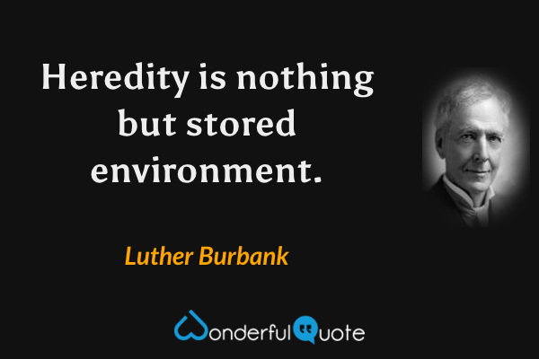 Heredity is nothing but stored environment. - Luther Burbank quote.