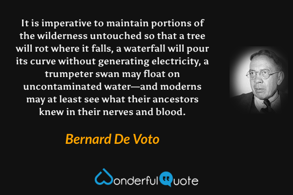 It is imperative to maintain portions of the wilderness untouched so that a tree will rot where it falls, a waterfall will pour its curve without generating electricity, a trumpeter swan may float on uncontaminated water—and moderns may at least see what their ancestors knew in their nerves and blood. - Bernard De Voto quote.