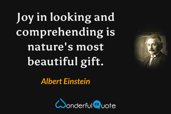Joy in looking and comprehending is nature's most beautiful gift. - Albert Einstein quote.
