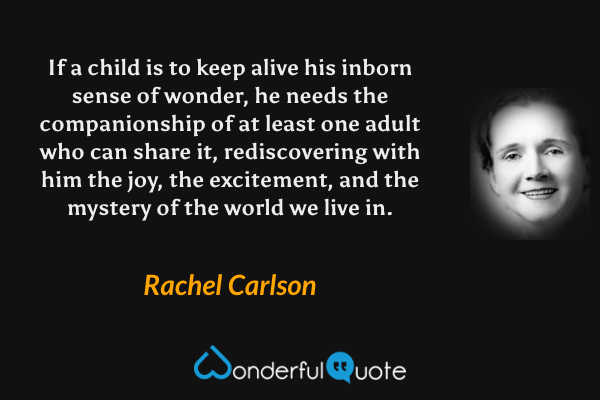 If a child is to keep alive his inborn sense of wonder, he needs the companionship of at least one adult who can share it, rediscovering with him the joy, the excitement, and the mystery of the world we live in. - Rachel Carlson quote.