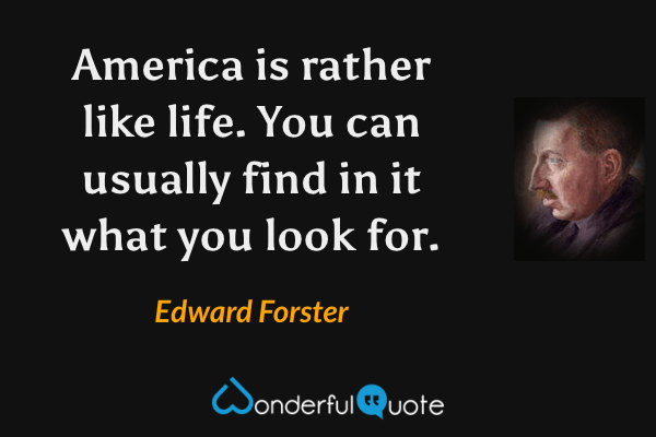 America is rather like life. You can usually find in it what you look for. - Edward Forster quote.