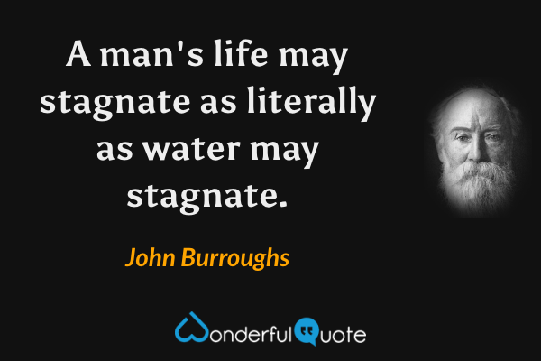 A man's life may stagnate as literally as water may stagnate. - John Burroughs quote.