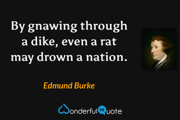 By gnawing through a dike, even a rat may drown a nation. - Edmund Burke quote.