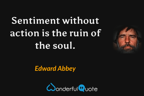 Sentiment without action is the ruin of the soul. - Edward Abbey quote.