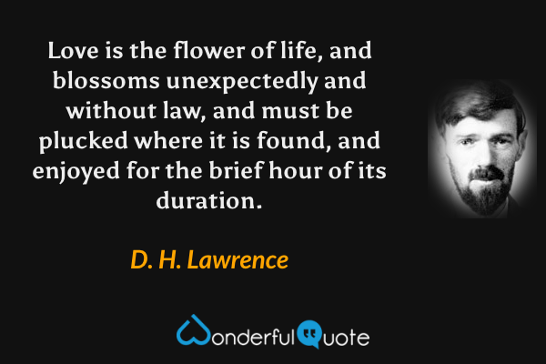 Love is the flower of life, and blossoms unexpectedly and without law, and must be plucked where it is found, and enjoyed for the brief hour of its duration. - D. H. Lawrence quote.